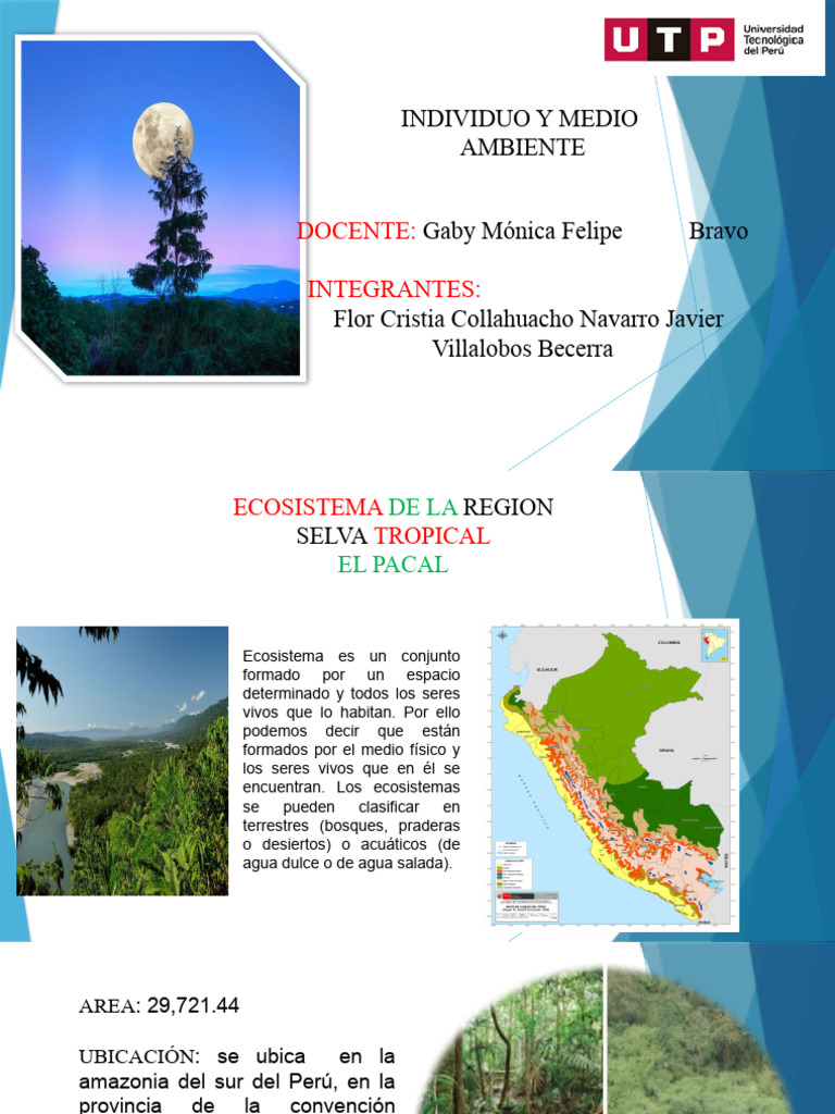 Ecosistema Pacal: Características y Biodiversidad | PDF | Ecosistema ...