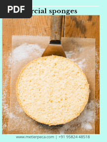 Métier PECA Commercial Sponges (Free Booklet) 2