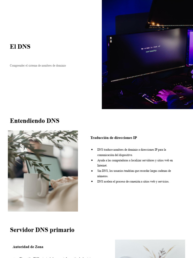 El DNS | PDF | sistema de nombres de dominio | Protocolos de internet