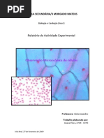 relatoriodebiologiacelulasjoanapiresresumostk