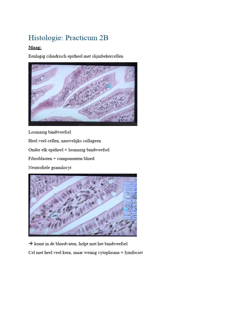 His 2 Bot Microscoop | PDF, image size:768x1024