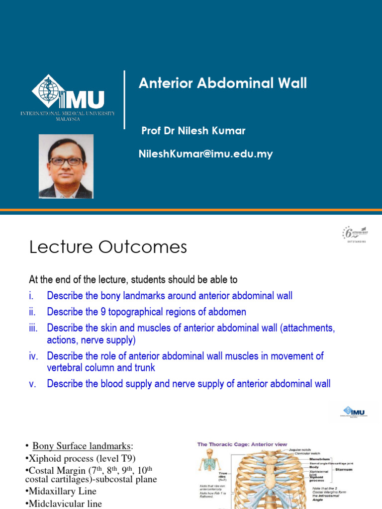 Anterior Abdominal Wall Anatomy Overview | PDF | Abdomen | Anatomy