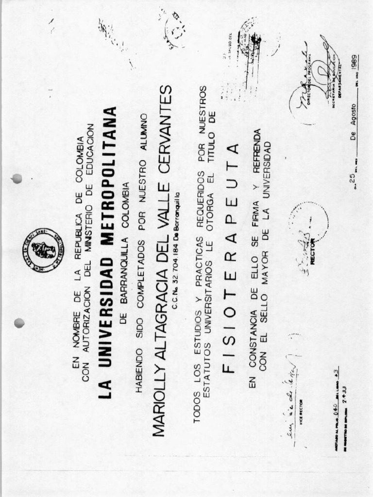 Diploma Profesional Pdf