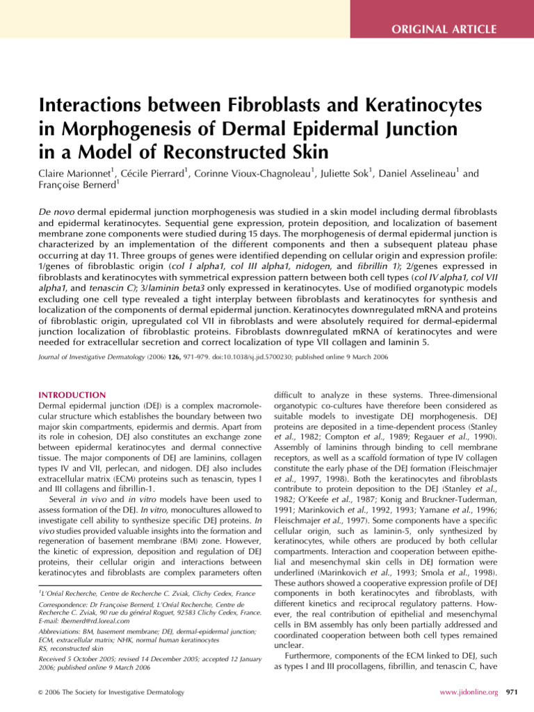 Interactions between Fibroblasts and Keratinocytes in Morphogenesis of ...