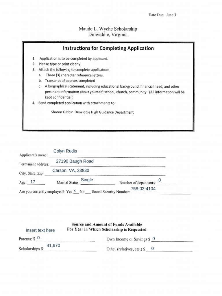 Maude L. Wyche Scholarship Application Guide | PDF