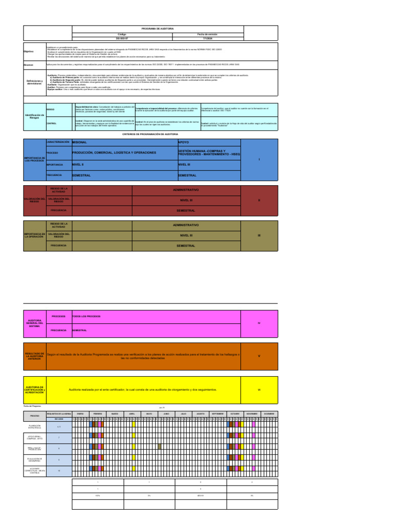 Dg-Sgi-07 - Programa de Auditoria | PDF | Auditoría | Business