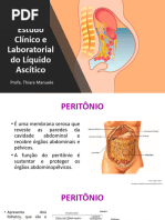 Anatomia do Peritônio e Cavidade Peritoneal | PDF | Peritônio | Corpo ...