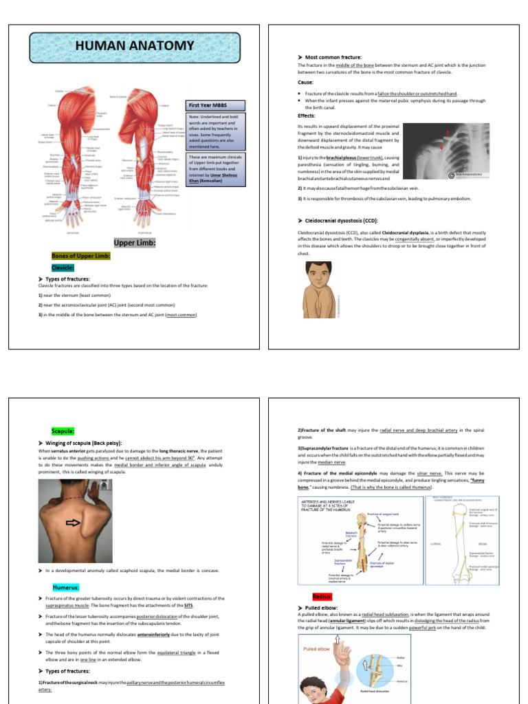 All Clinicals Of Upper Limb Pdf Elbow Shoulder