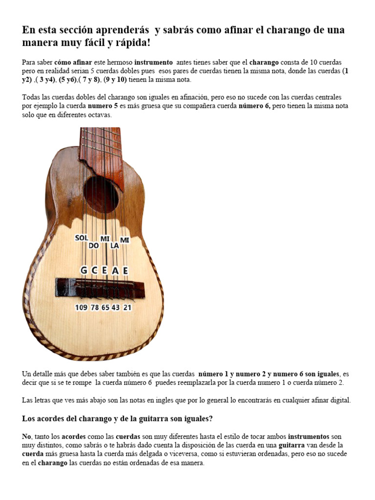 Charango Afinacion Pdf Guitarras Musicología