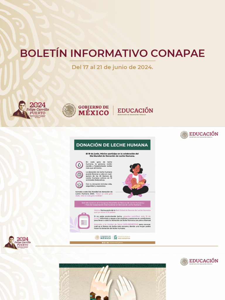 Boletín Informativo CONAPAE Del 17 Al 21 de Junio de 2024 | PDF ...