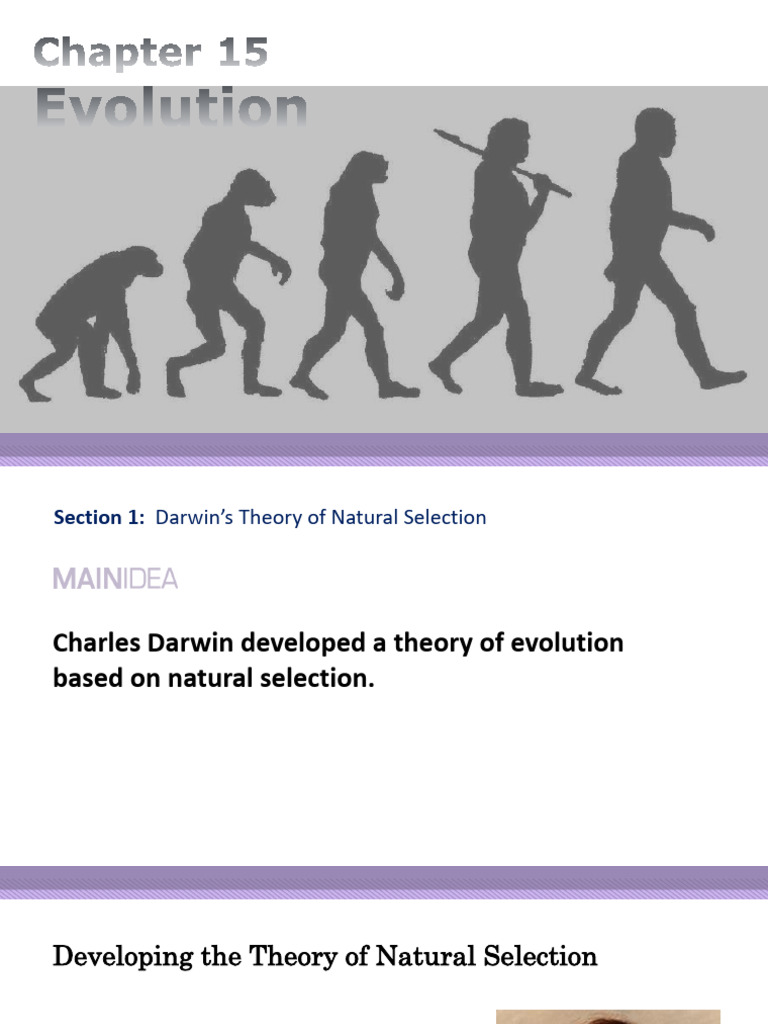 Darwin's Natural Selection Explained | PDF | Evolution | Adaptation