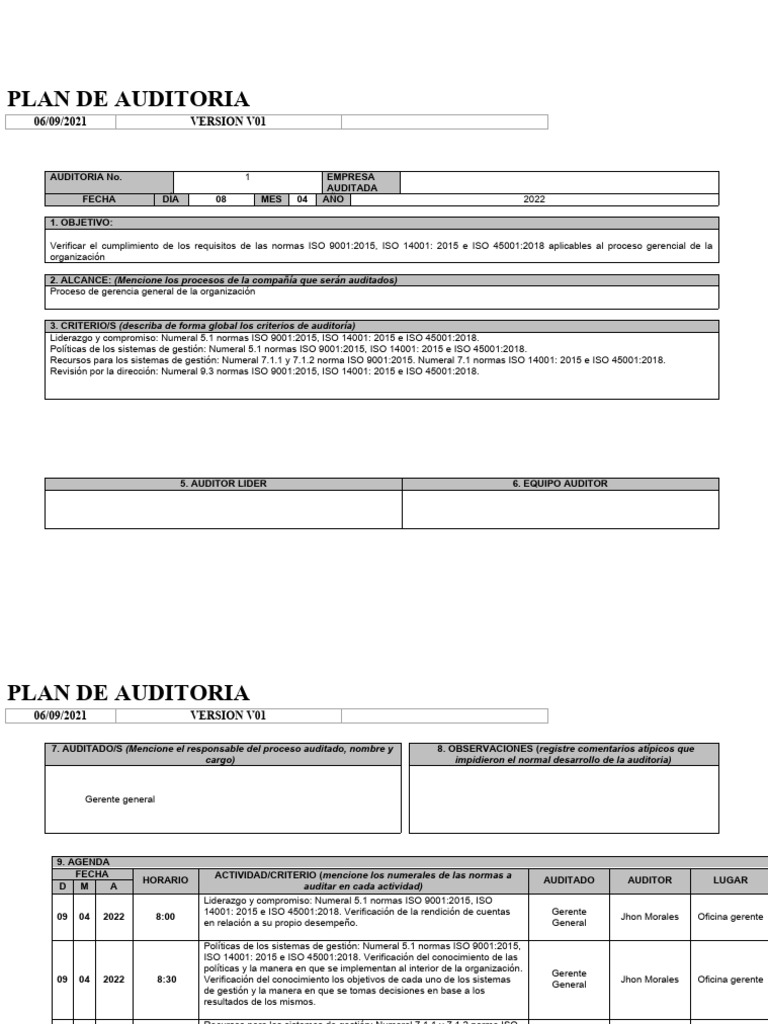 Plan de Auditoria | PDF | Auditoría | Business
