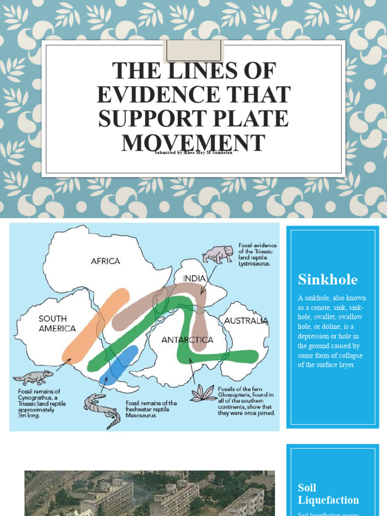 Evidence Supporting Plate Movement | PDF