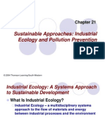 Sustainable Approaches: Industrial Ecology and Pollution Prevention