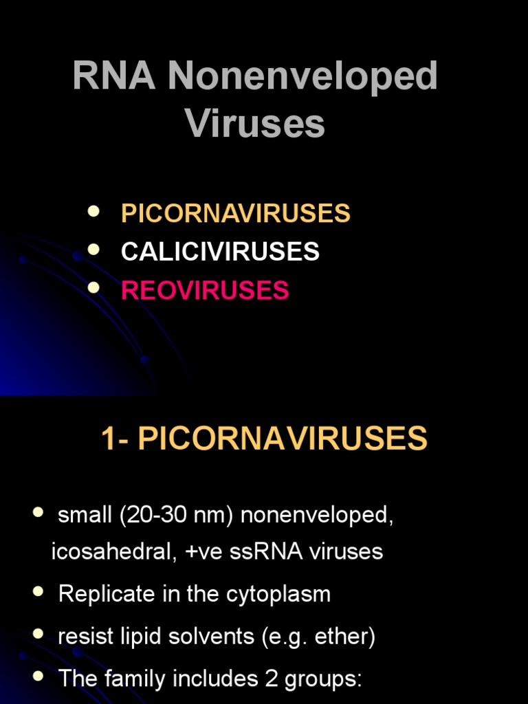 RNA Non Enveloped Viruses PDF Poliomyelitis Tree Of Life (Biology)