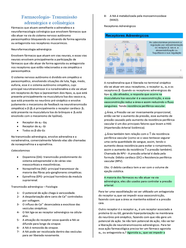 Farmacologia Transmissão Adrenergica e Colinergica | PDF ...