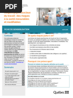 Questionnaire Gollac sur les RPS | PDF | Psychologie sociale