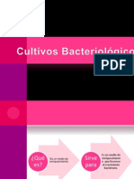 Cultivos Bacteriologicos