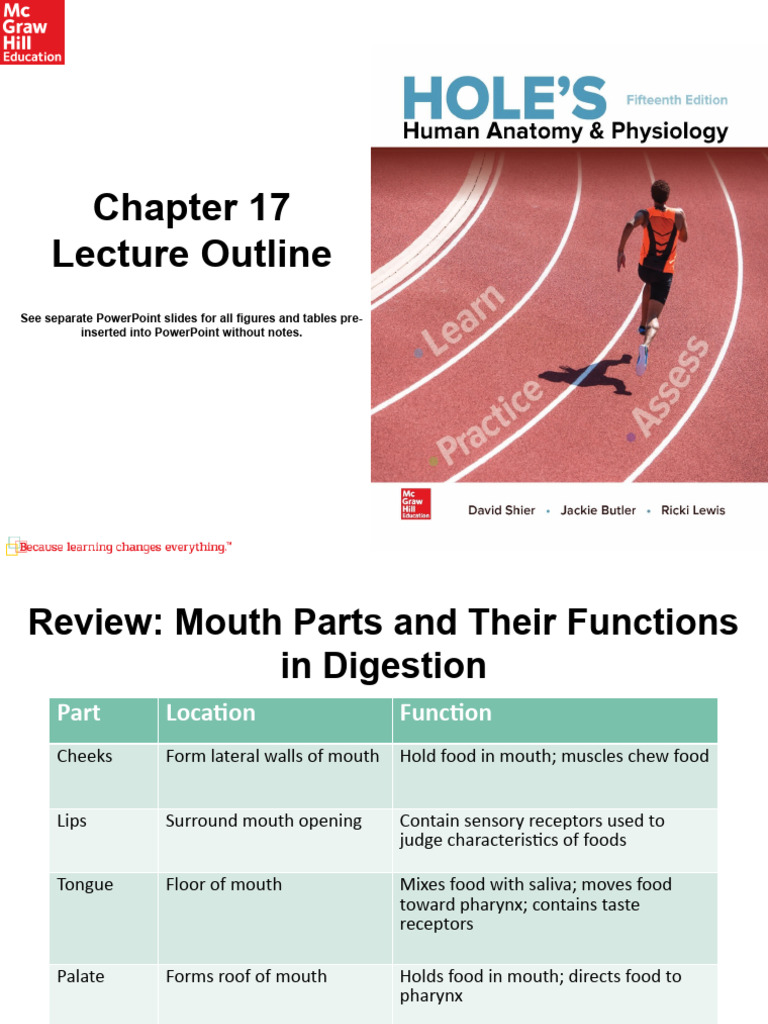 17.2+the+Mouth+Part+3 | PDF | Organ (Anatomy) | Anatomy