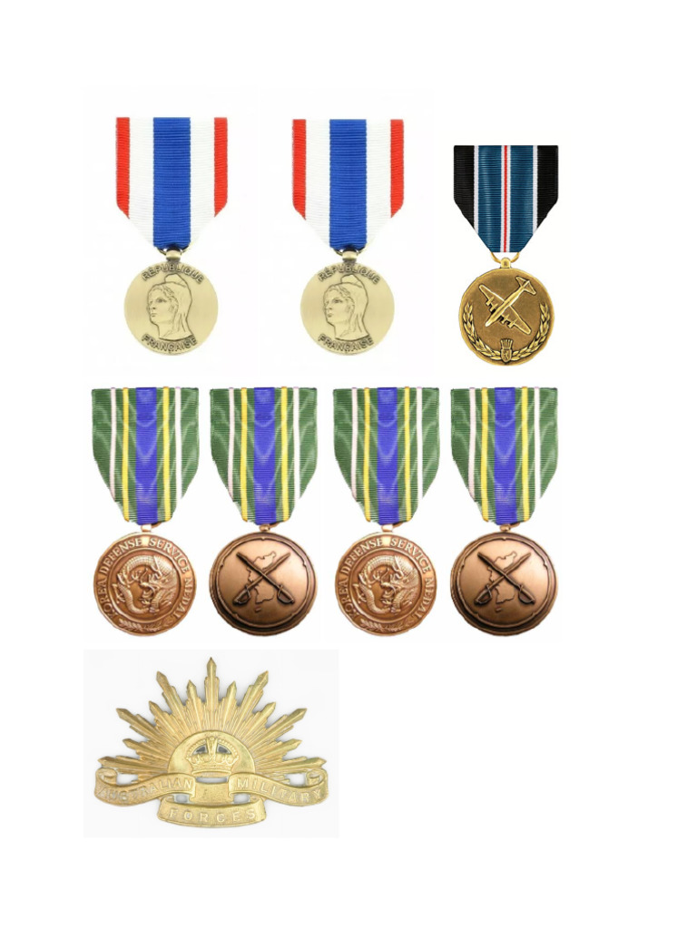 Army badges PDF