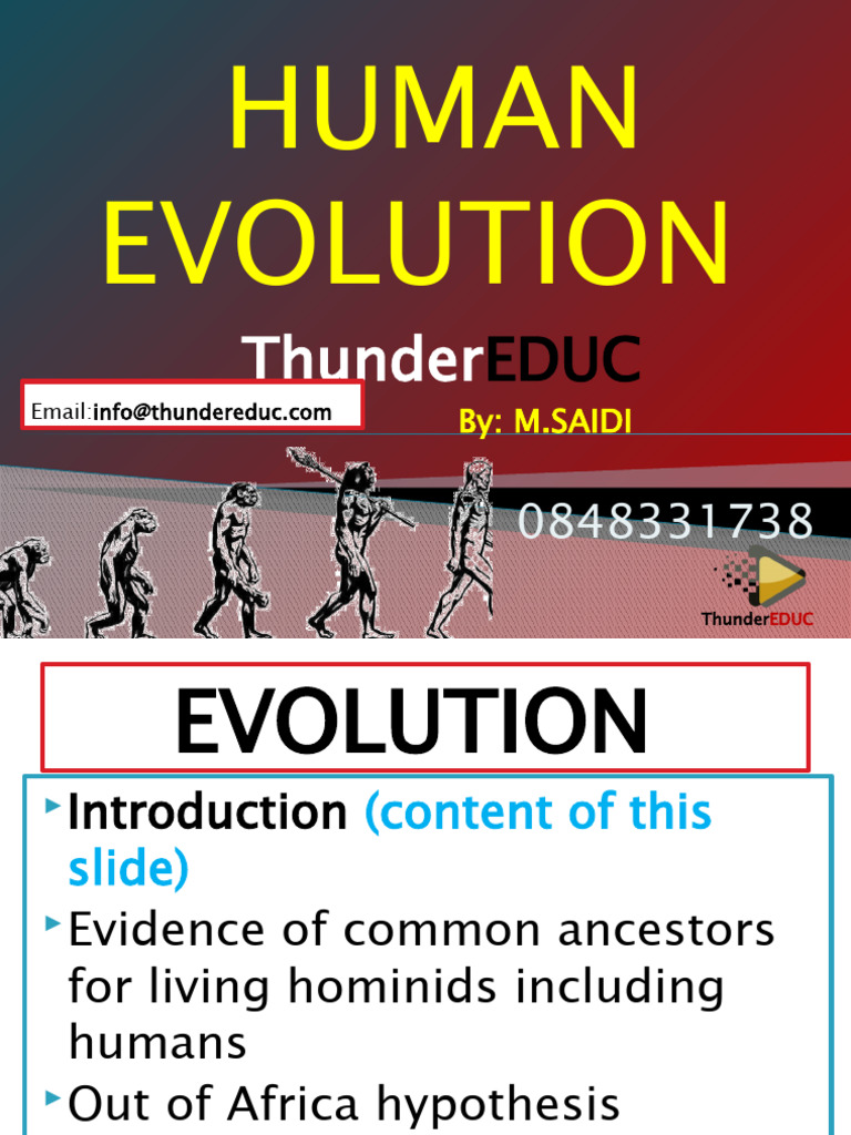 Human Evolution Overview and Evidence | PDF | Homo | Vertebral Column