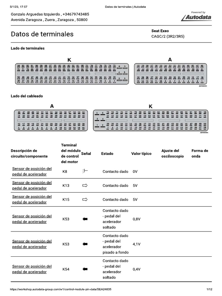 Pines Modulo | PDF