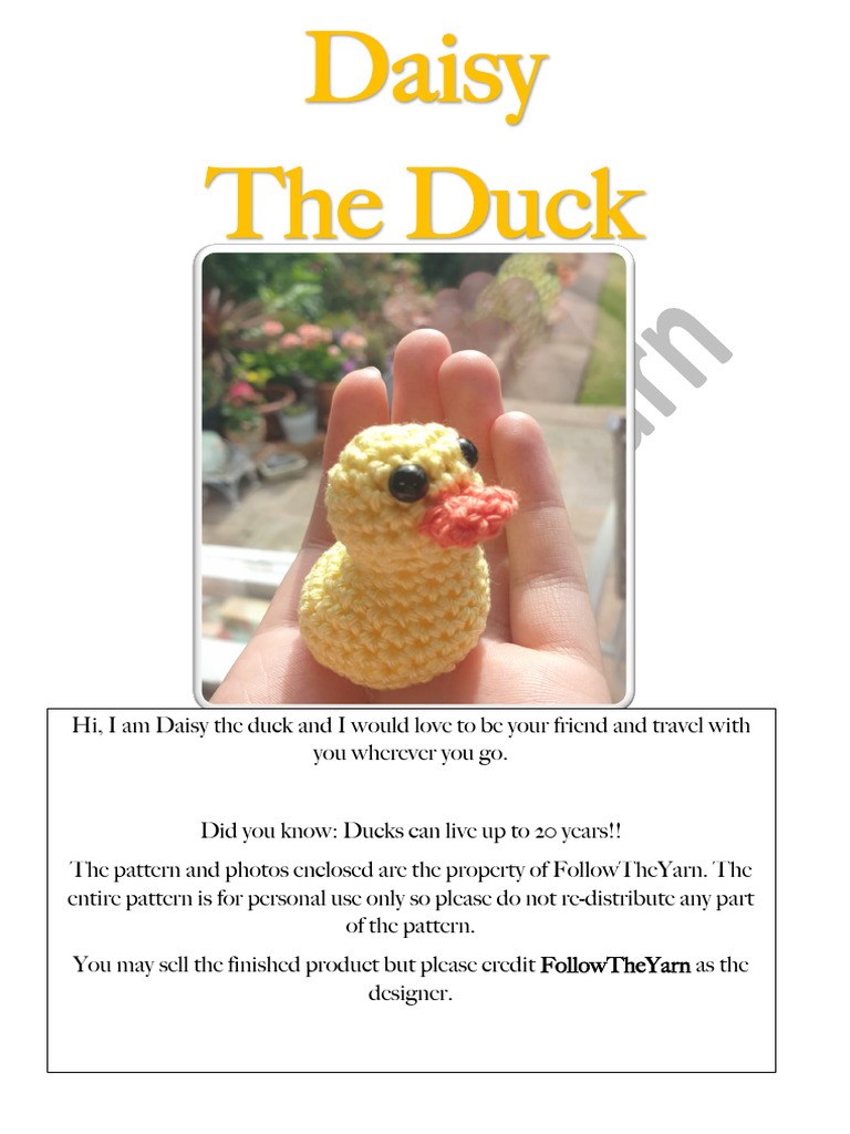 Daisy Duck Crochet Pattern Guide | PDF | Crochet | Knitting