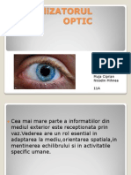 Analizatorul Optic