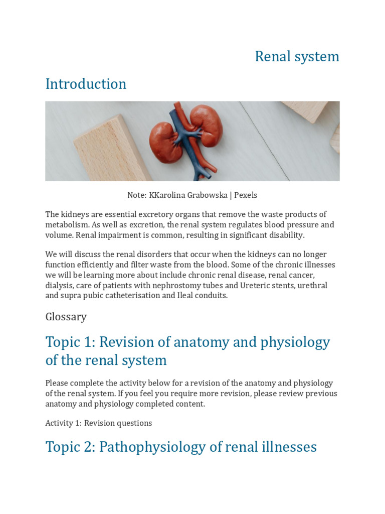 Understanding Renal System Disorders | PDF | Kidney | Chronic Kidney ...