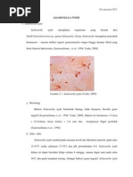 Download Salmonella Typhi by sakurahinata SN75094558 doc pdf