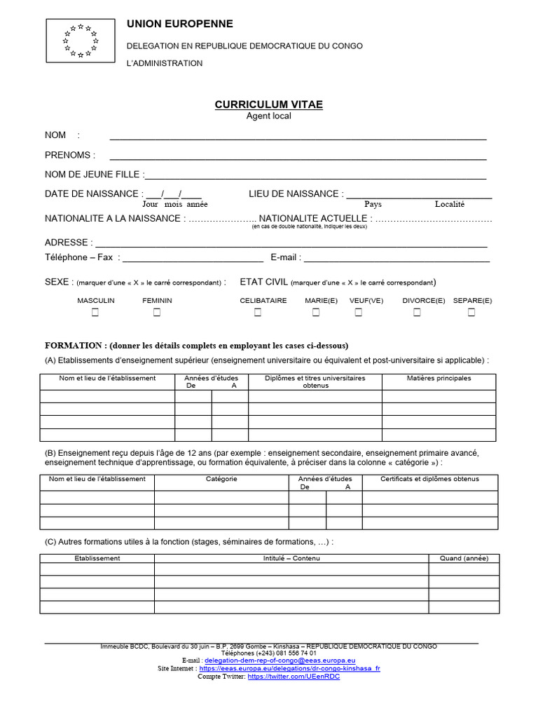 Modèle de CV pour agent local RDC | PDF