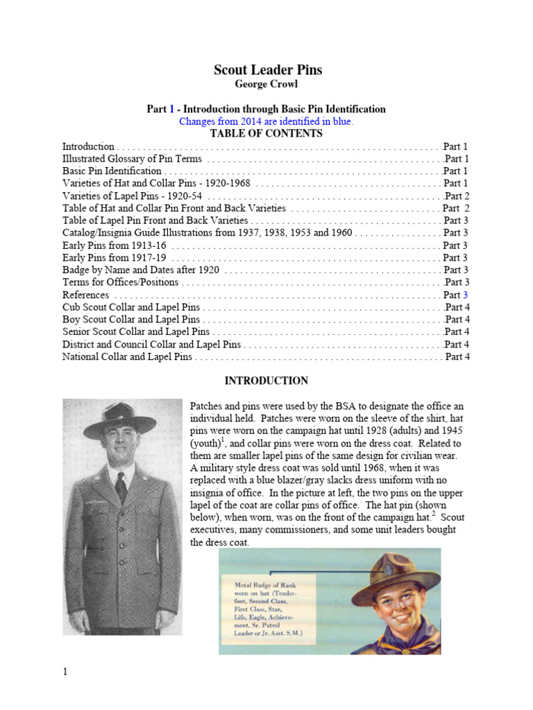 Scout Leader Pin Identification Guide | PDF | Clothing