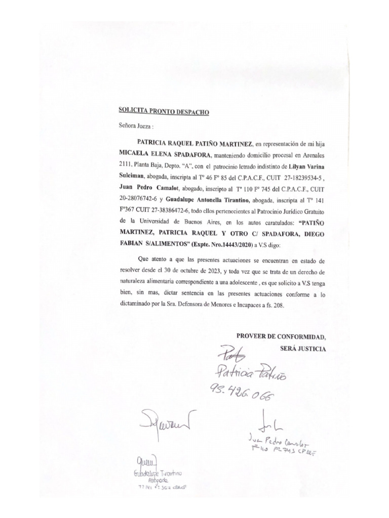 Solicita Pronto Despacho | PDF
