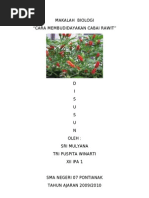 Analisis Pendapatandan Pemasaran Cabai Rawit