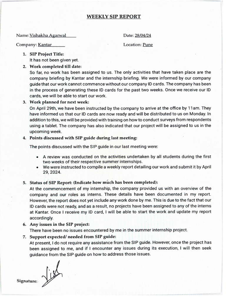 SIP Weekly Report | PDF