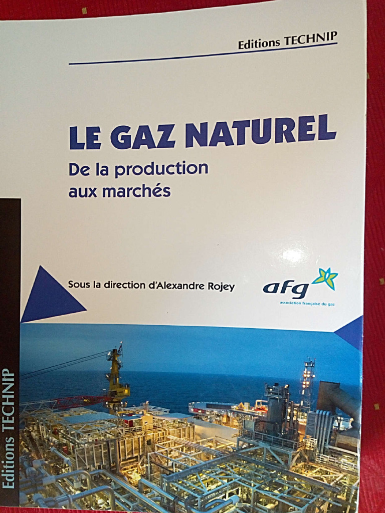 Gaz Naturel | PDF