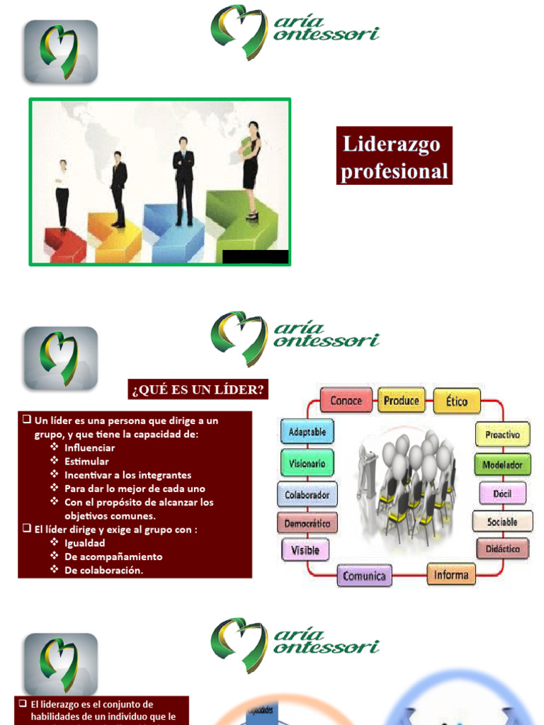 Claves del Liderazgo Profesional Efectivo | PDF | Liderazgo | Planificación