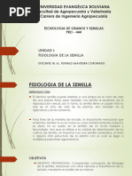 Partes de La Semilla y Sus Funciones | PDF | Semilla | Germinación