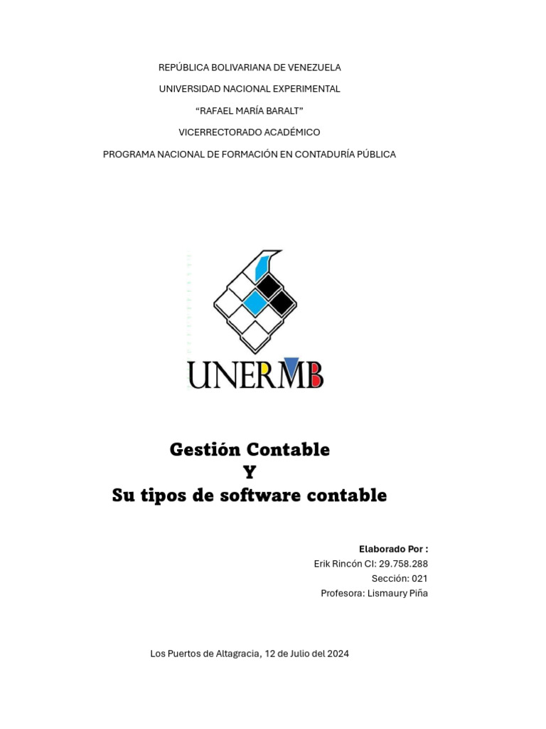 ensayo-de-gesti-n-contable-pdf-contabilidad-software