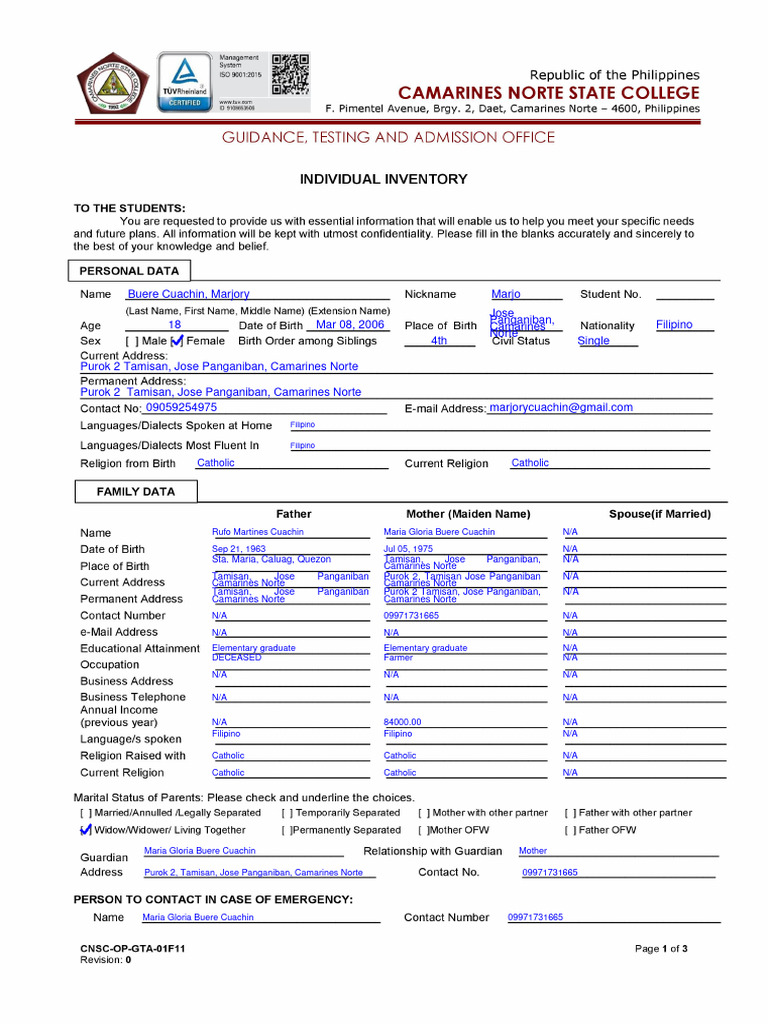 Individual Inventory Form | PDF