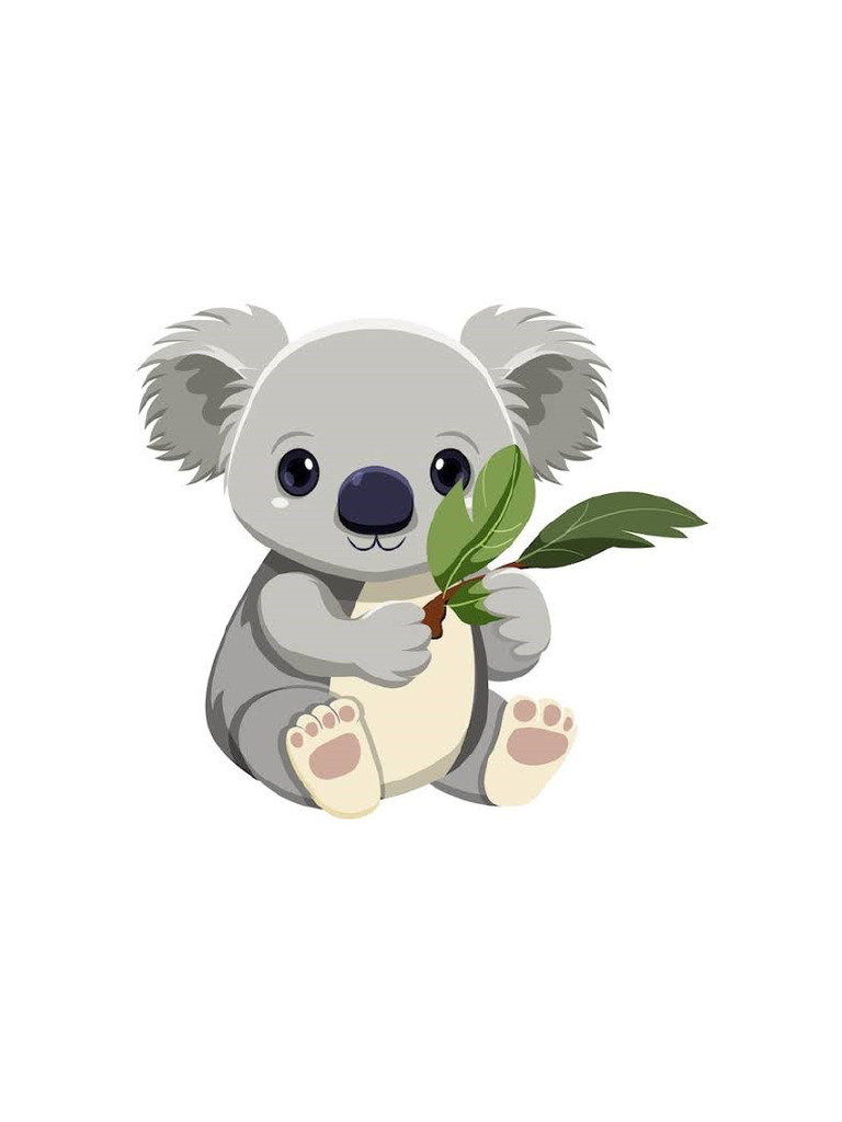 Koala | PDF