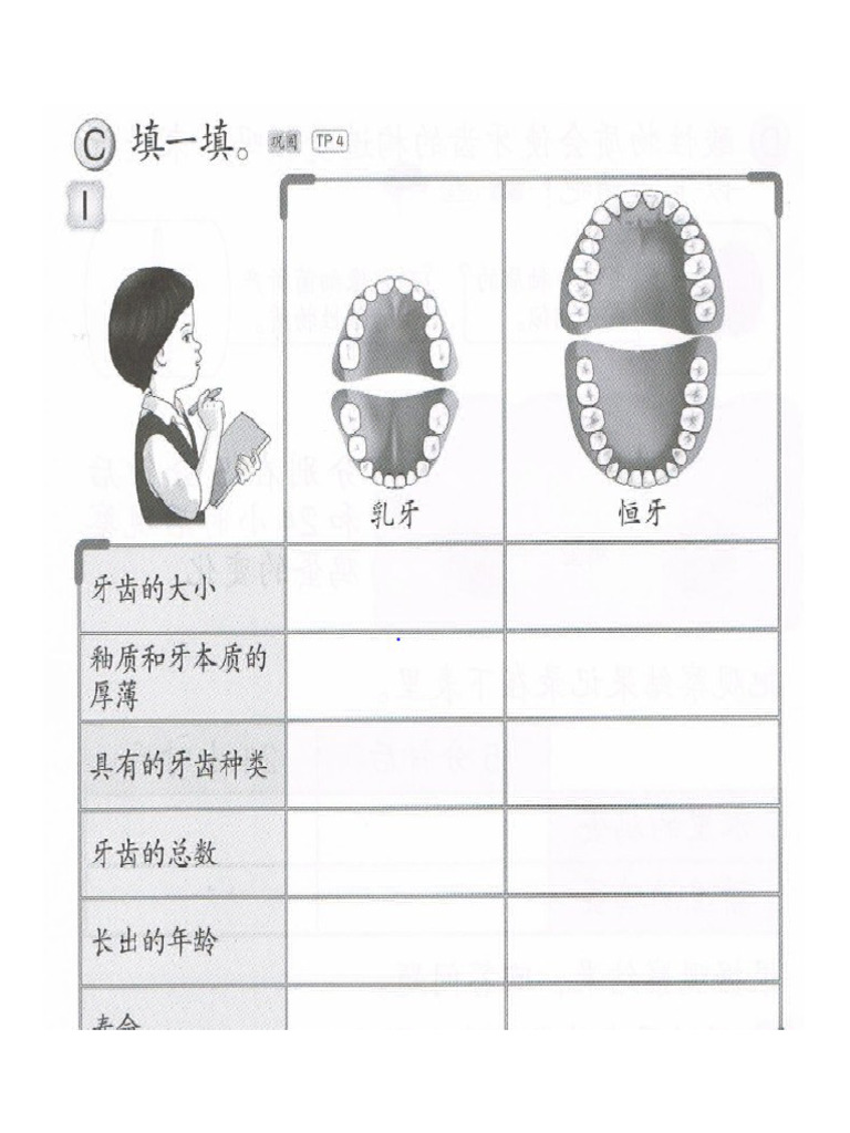 牙齿练习 | PDF