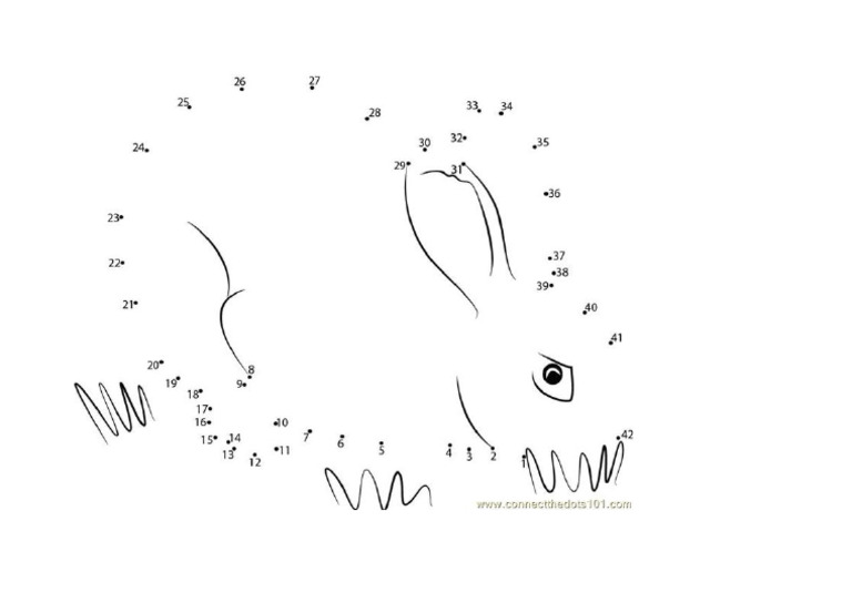 Rabbit | PDF