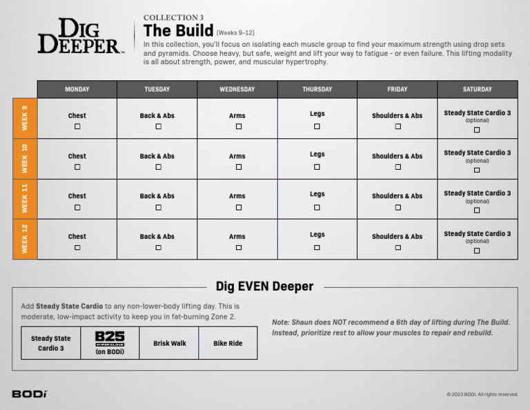 Strength Training Drop Sets & Pyramids | PDF | Aerobic Exercise ...