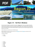 Overview of Region 10 Provinces and Cities | PDF | Philippines