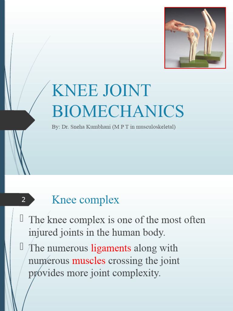 Knee Joint Biomechanics Overview | PDF | Knee | Anatomical Terms Of Motion