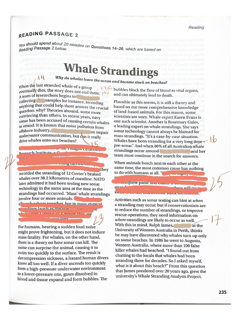 Whale Strandings | PDF