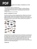 Identifying and Classifying Swine Breeds | PDF | Pig | Livestock