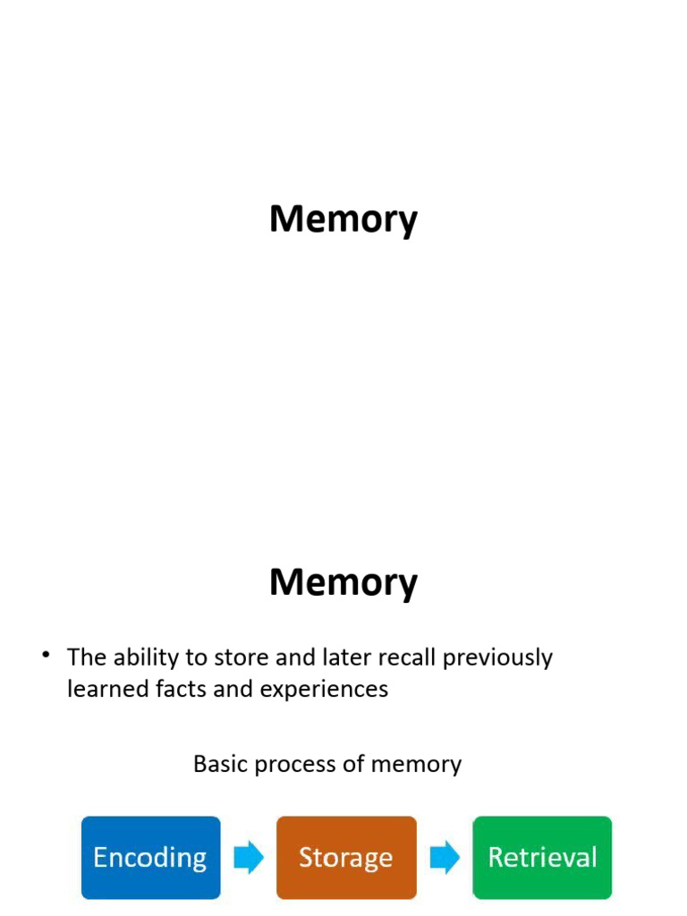 Memory 1718783164036 | PDF | Memory | Recall (Memory)