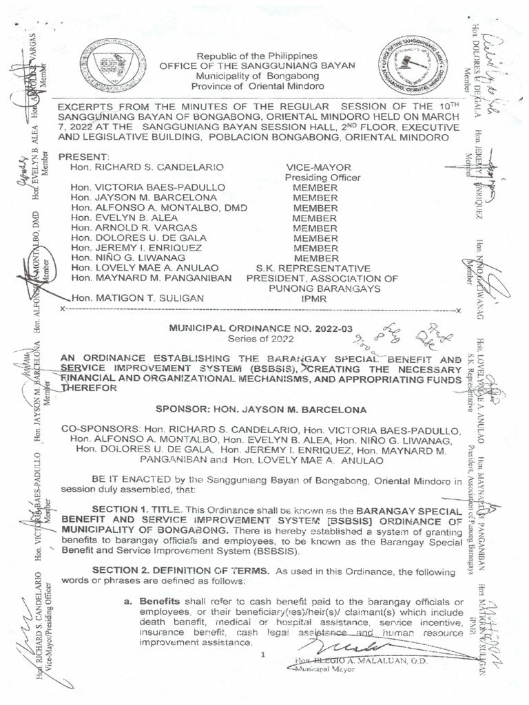 Municipal Ordinance No. 2022-03 | PDF | Justice | Crime & Violence